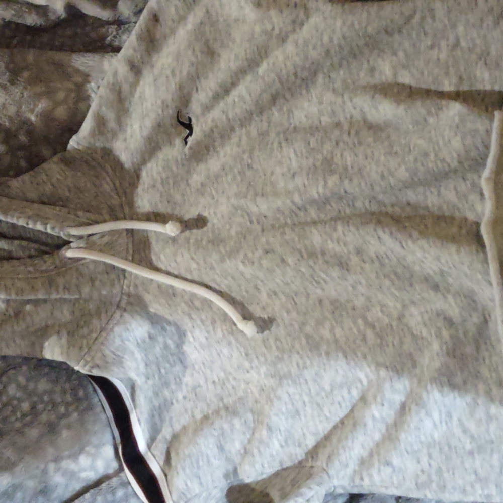 Hollister cropped hoodie